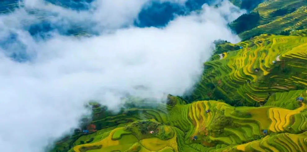Miao Village View in Guizhou, china, china tour, Aerial view of terraced rice fields in green and gold, with clouds drifting over a misty valley.