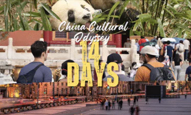 china trip tailor made, china travel, Banner for a China Cultural Odyssey 14 Days tour featuring a panda, crowd, and city street scene.