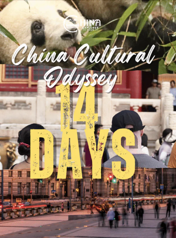 china trip tailor made, china travel, Banner for a China Cultural Odyssey 14 Days tour featuring a panda, crowd, and city street scene.