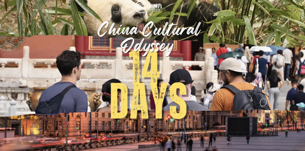 china trip tailor made, china travel, Banner for a China Cultural Odyssey 14 Days tour featuring a panda, crowd, and city street scene.