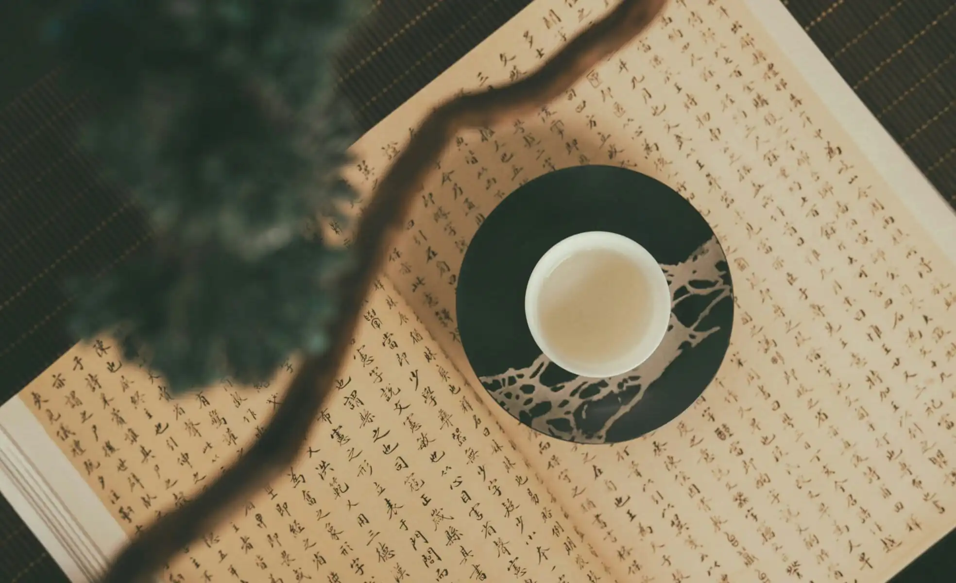 How to Overcome Language Barriers in China: Basic Chinese, chinaexplorertour, Top-down view of calligraphy paper with Asian characters, a black circular design, and a white cup, with a blurred plant in the foreground.