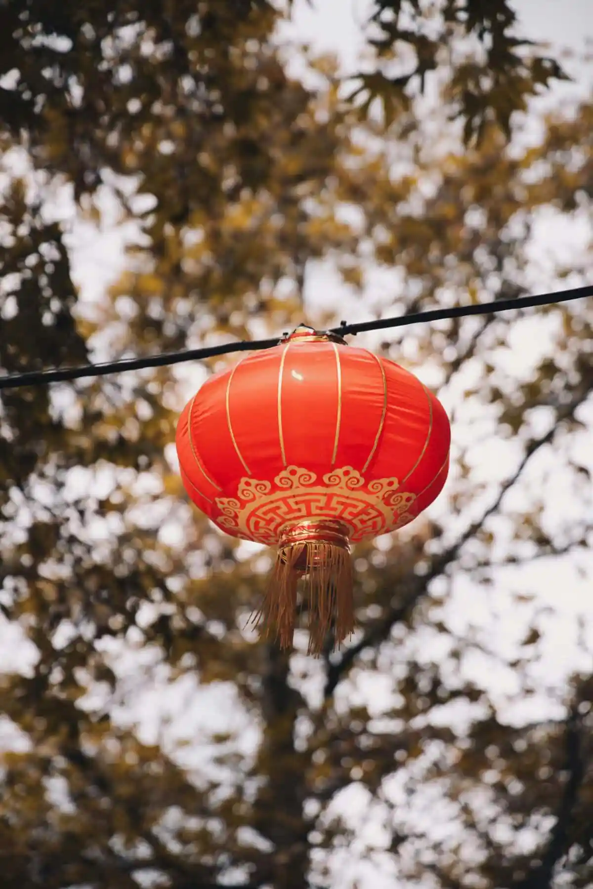 Red Chinese lantern hanging outdoors with gold patterns and tassels, blurred autumn foliage in the background.