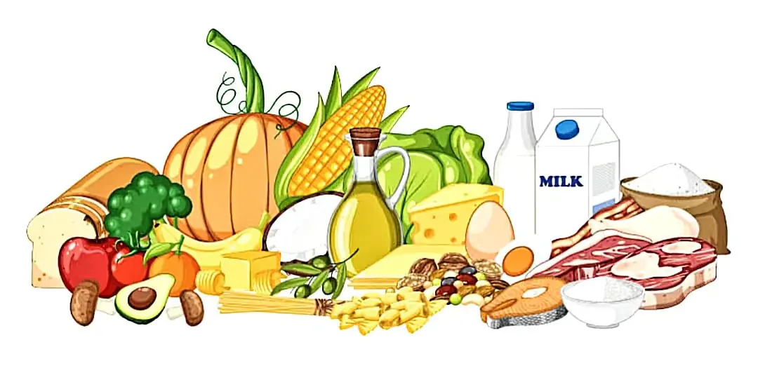Assorted groceries including vegetables, fruits, dairy, meats, bread and a bottle of oil on a white background, showing a pantry spread.