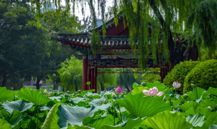 Best Time to Visit China 2025: A Month-by-Month Guide