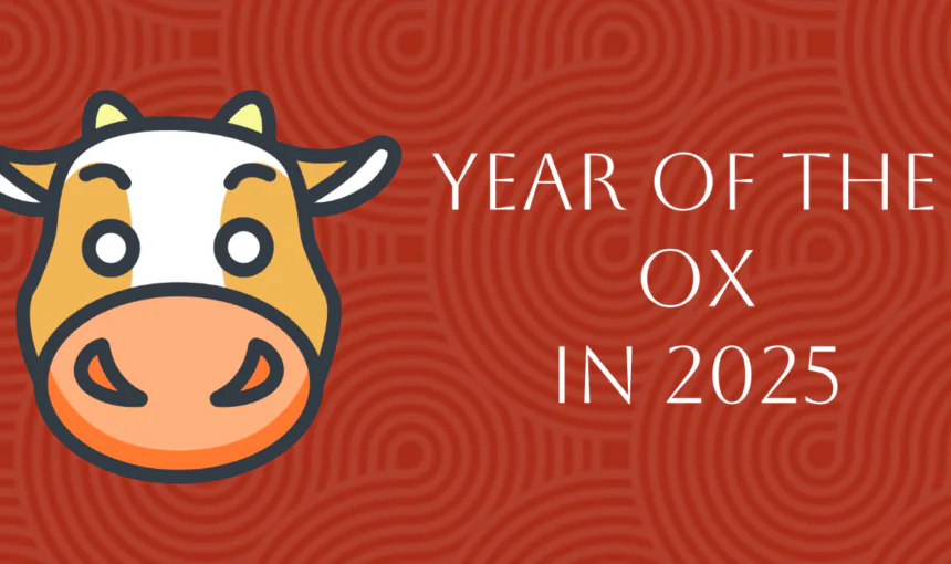 Chinese Zodiac: 2025 Forecast for Ox Sign – Chinese New Year Special Guide