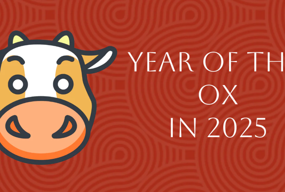 Chinese Zodiac 2025: Complete OX Forecast in Year of Snake, chinatrip, Cartoon ox head to the left with the text "Year of the Ox in 2025" on a red patterned background.