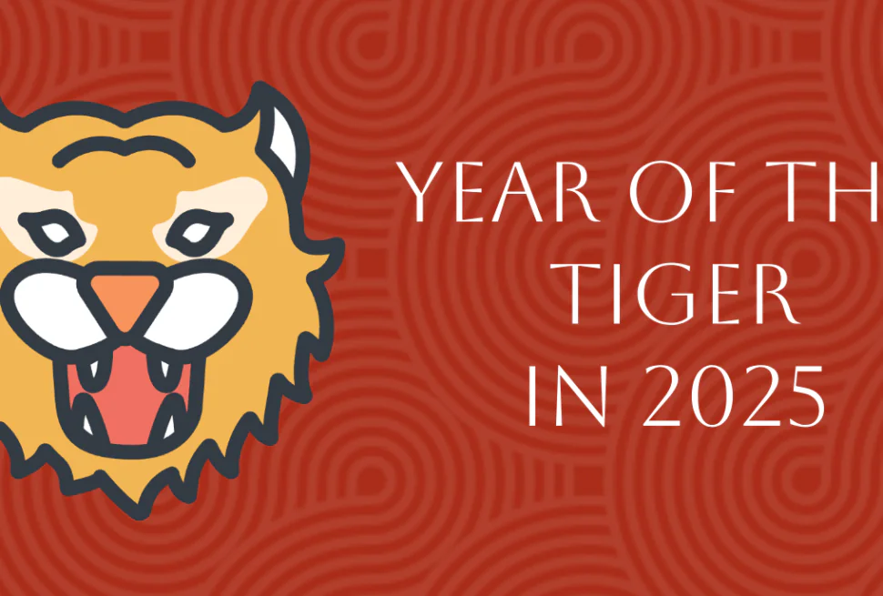 Chinese Zodiac 2025: Complete Tiger Forecast in Year of Snake, chinatrip, Cartoon tiger head on a red patterned background with the text 'Year of the Tiger in 2025'.