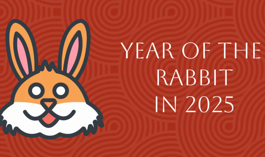 Chinese Zodiac 2025: Year Of The Rabbit Forecast