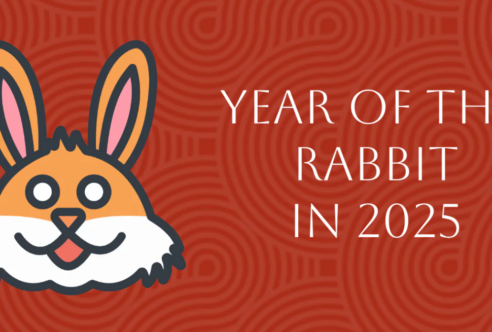Chinese Zodiac 2025: Complete Rabbit Forecast in Year of Snake, chinatrip, Cartoon rabbit head on a red patterned background with the text 'Year of the Rabbit in 2025'.