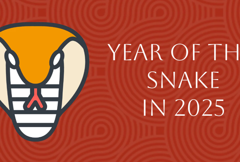 Chinese Zodiac 2025: Complete Pig Forecast in Year of Snake, chinatrip, Stylized snake head logo on a red patterned background with the text 'Year of the Snake in 2025'.
