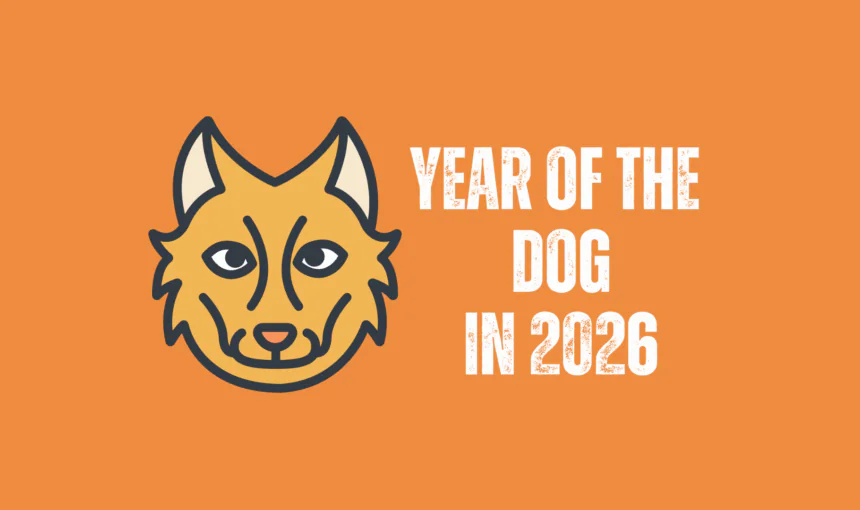 Chinese Zodiac 2026: Year Of The Dog Forecast