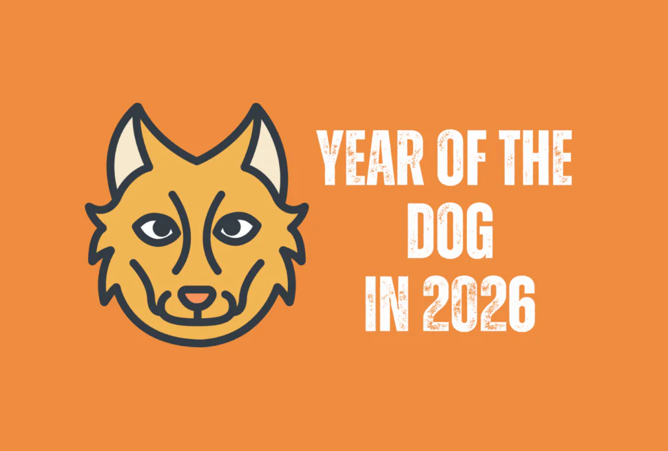 dog, chinese zodiac 2026, chinatravel, Cartoon dog head on an orange background with the text 'Year of the Dog in 2026' to the right.
