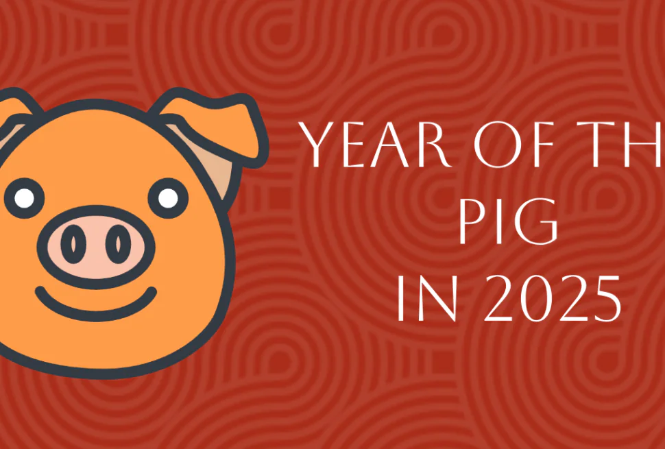 Chinese Zodiac 2025: Complete PIG Forecast in Year of Snake, chinatrip, Cartoon pig head on the left with a friendly smile, against a red patterned background and text 'Year of the Pig in 2025' on the right.