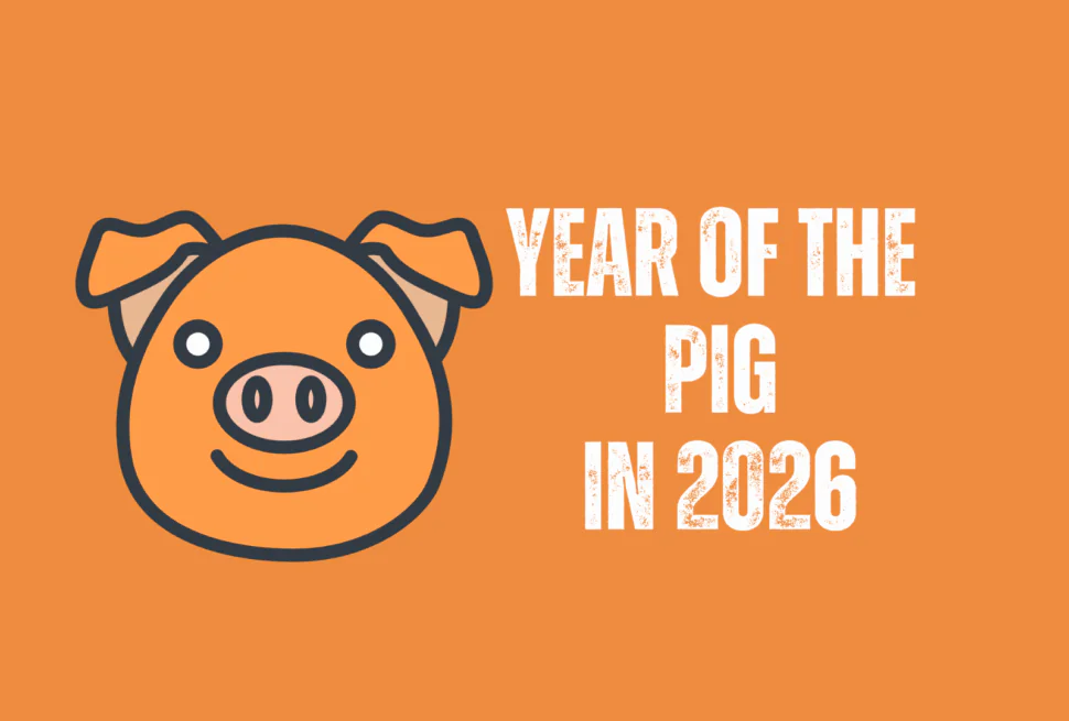 pig, chinese zodiac 2026, chinatravel, Cartoon pig face on an orange background with the text 'Year of the Pig in 2026' to the right.