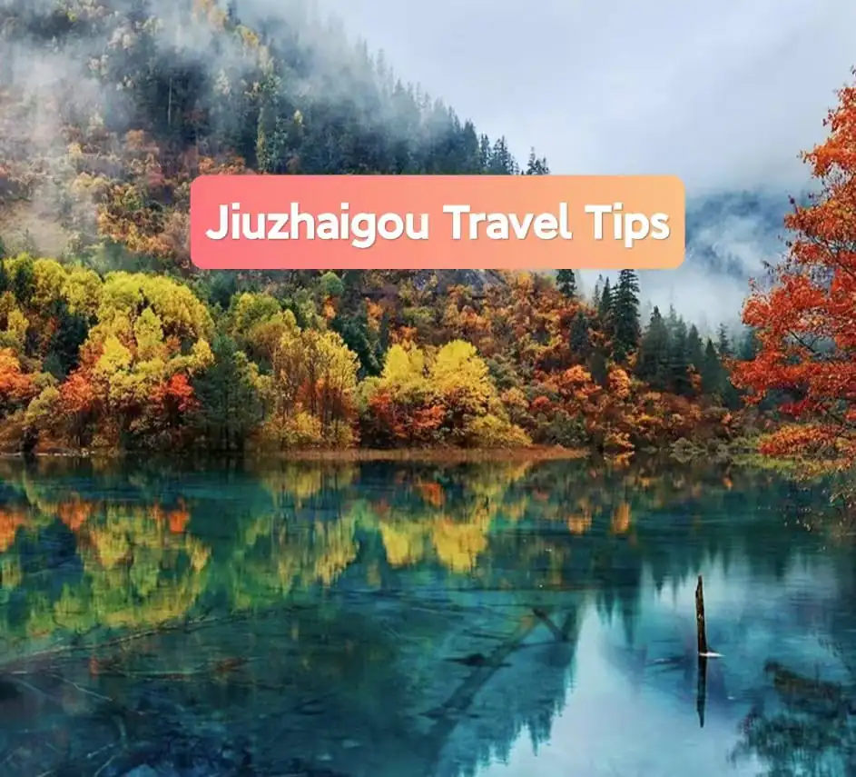 Jiuzhaigou Travel Tips, sichuan, china, chinatrip, Autumn forest in Jiuzhaigou reflected in a turquoise lake, with a peach travel tips banner reading 'Jiuzhaigou Travel Tips'.