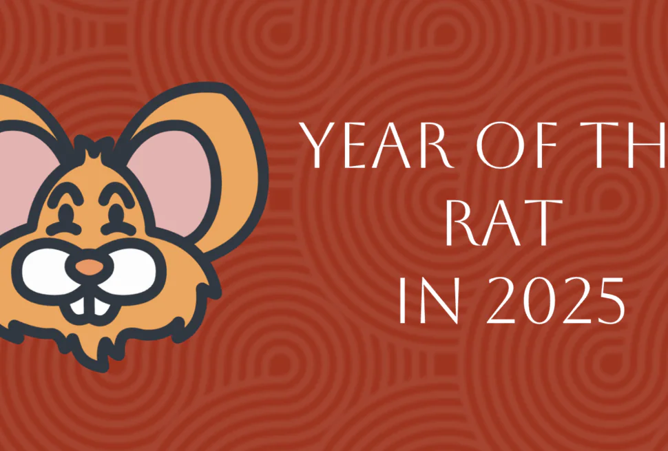 Chinese Zodiac 2025: Complete Rat Forecast in Year of Snake, chinatrip, Cartoon orange rat head on a red patterned background with the text 'Year of the Rat in 2025' to the right