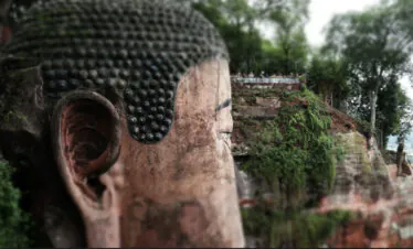 Leshan Giant Buddha, sichuan, china, chinatrip, Close-up view of a weathered large Buddha head carved into a cliff, with an ear and textured hair beads, greenery around, and a distant viewing platform with people.
