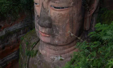 Leshan Giant Buddha, sichuan, china, chinatrip, Large weathered stone Buddha head carved into cliff, with closed eyes and leafy surroundings nearby.