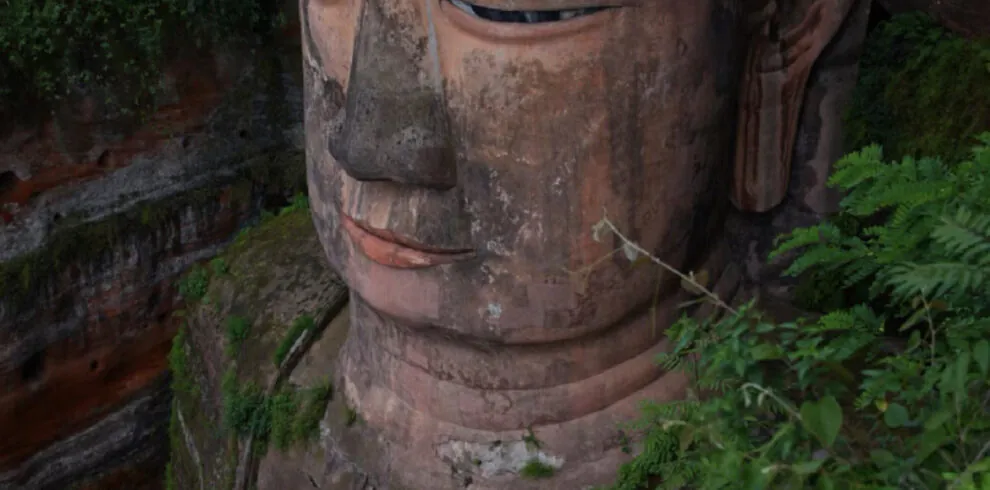 Leshan Giant Buddha, sichuan, china, chinatrip, Large weathered stone Buddha head carved into cliff, with closed eyes and leafy surroundings nearby.