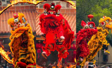 Chinese New Year Adventure jorney, southern china, chinatrip, Vibrant lion and dragon dancers in red and yellow costumes performing a street festival with flames arching overhead and a cheering crowd nearby.