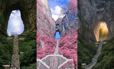 Tianmen Mountain, Zhangjiajie, hunan, china, chinatrip, Three-panel collage of Tianmen Mountain features: left panel shows a long stairway ascending into a natural rock arch with surrounding greenery and a bright sky; middle panel highlights a dramatic pink-flowered canyon with a narrow rock arch and a path below; right panel depicts a road winding through a rocky cave with sunlight streaming in from the opening.