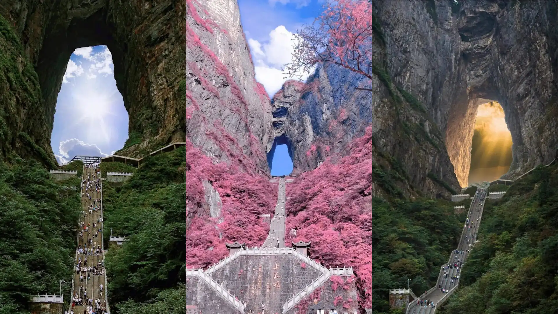 Tianmen Mountain, Zhangjiajie, hunan, china, chinatrip, Three-panel collage of Tianmen Mountain features: left panel shows a long stairway ascending into a natural rock arch with surrounding greenery and a bright sky; middle panel highlights a dramatic pink-flowered canyon with a narrow rock arch and a path below; right panel depicts a road winding through a rocky cave with sunlight streaming in from the opening.
