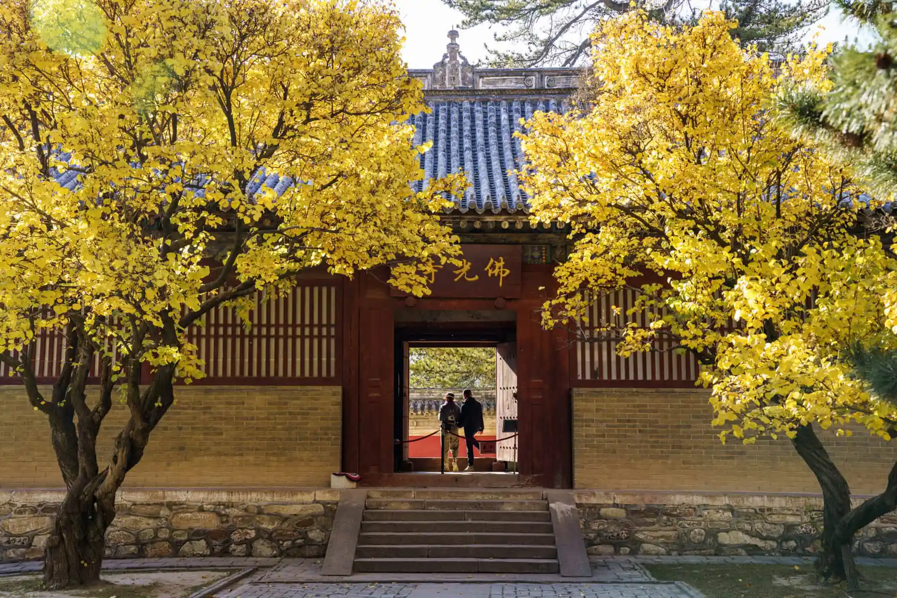 Foguang Temple, Mount Wutai, shanxi, china, china tour, Autumnal yellow trees frame a traditional Chinese temple gate with visitors standing inside the doorway.