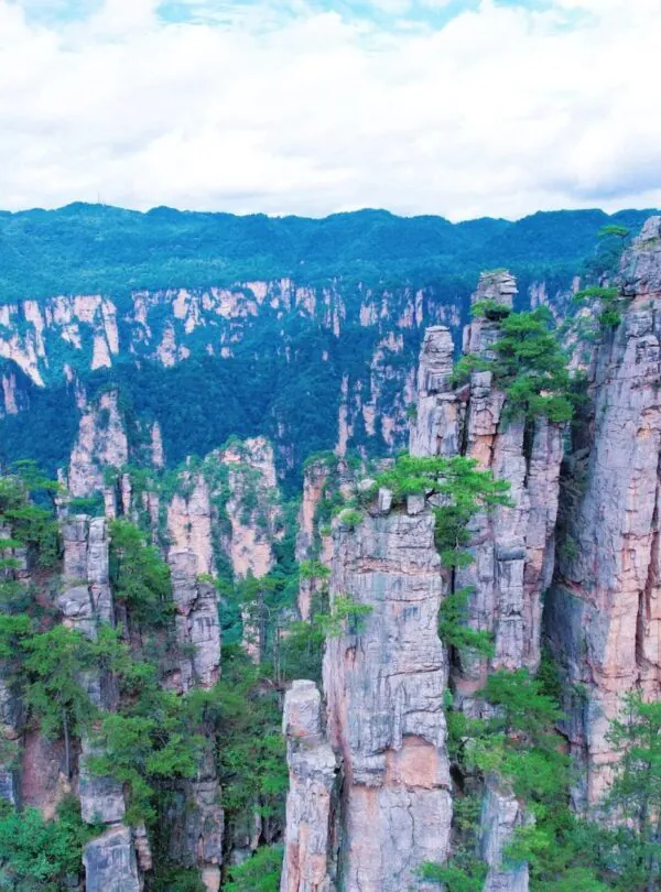 Zhangjiajie National Forest Park, hunan, china, chinatrip, Tall sandstone pillars rise from a forested canyon, lush green trees clinging to the cliffs under a cloudy blue sky.