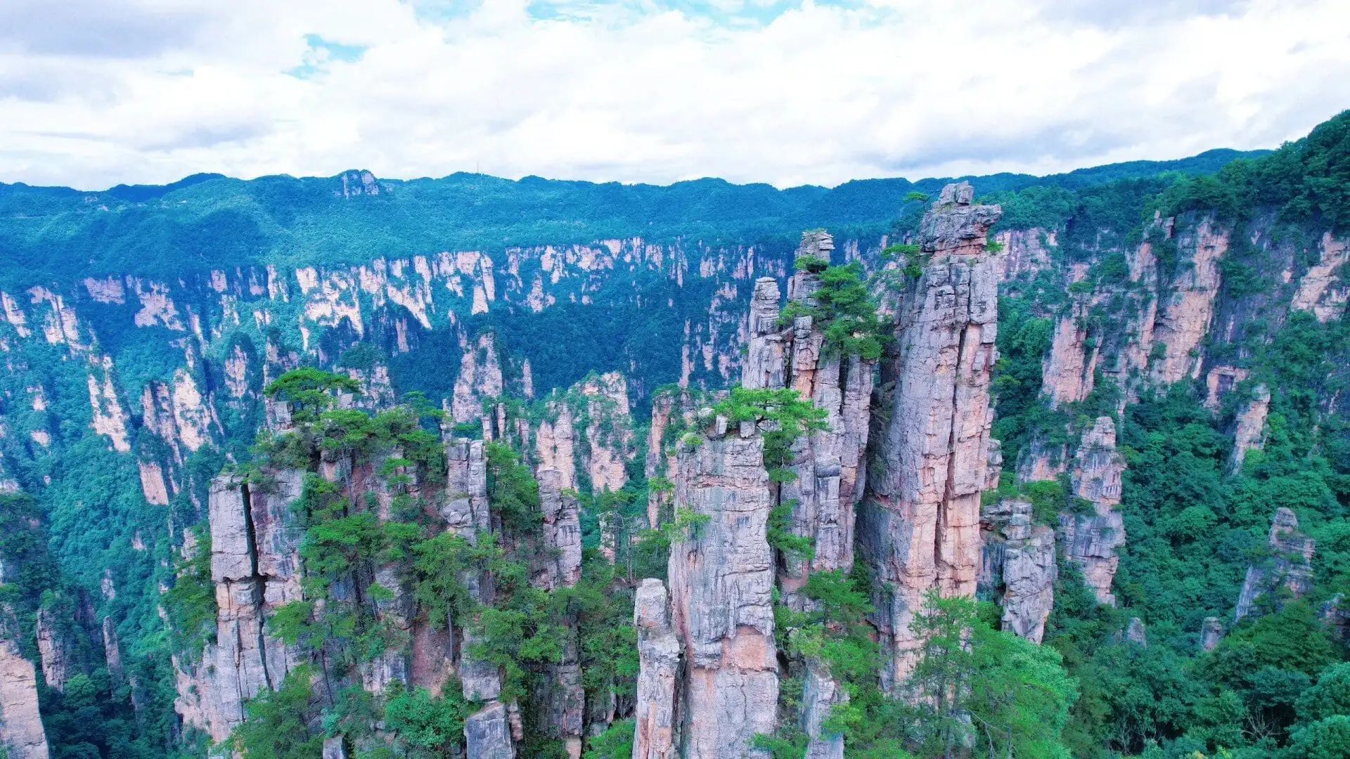Zhangjiajie National Forest Park, hunan, china, chinatrip, Tall sandstone pillars rise from a forested canyon, lush green trees clinging to the cliffs under a cloudy blue sky.