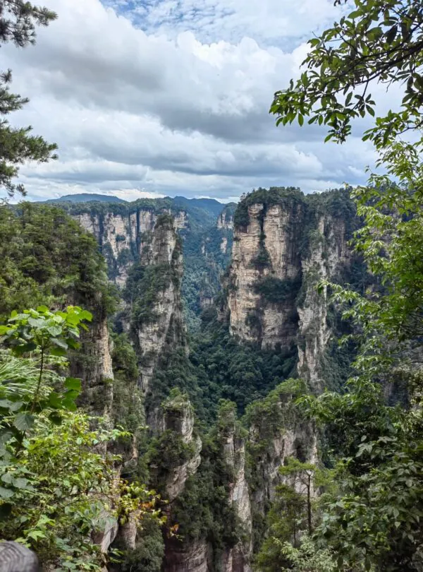 Zhangjiajie National Forest Park, hunan, china, chinatrip, Towering sandstone columns in a lush canyon, with dense green forest on the cliffs and a cloudy sky above.