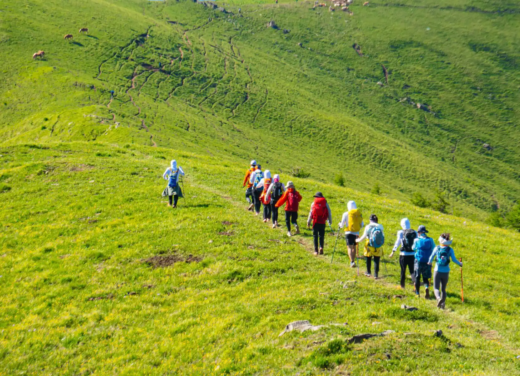 Mount Wutai, shanxi, china, china tour, A line of hikers with backpacks walking along a grassy hillside trail in a green valley.