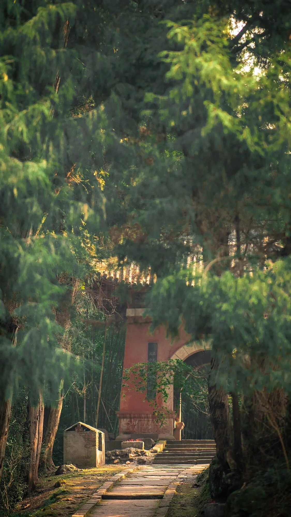 5-Day Wudang Mountain Tai Chi Retreat, hubei, china tour, Stone pathway with steps winding through a shady garden, framed by tall trees and a red brick arch building in the distance.