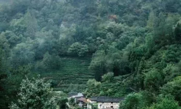 5-Day Wudang Mountain Tai Chi Retreat, hubei, china tour, Mist shrouds a forested mountainside with terraced fields and a small village at the base.