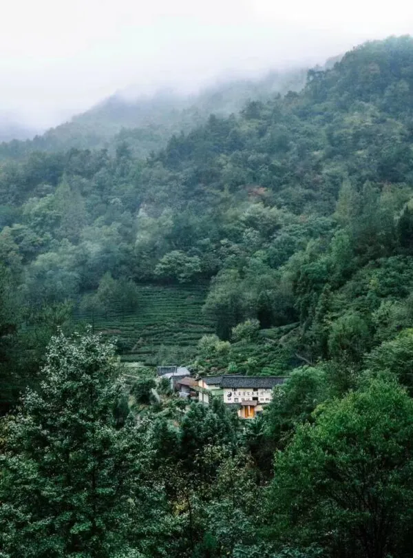 5-Day Wudang Mountain Tai Chi Retreat, hubei, china tour, Mist shrouds a forested mountainside with terraced fields and a small village at the base.