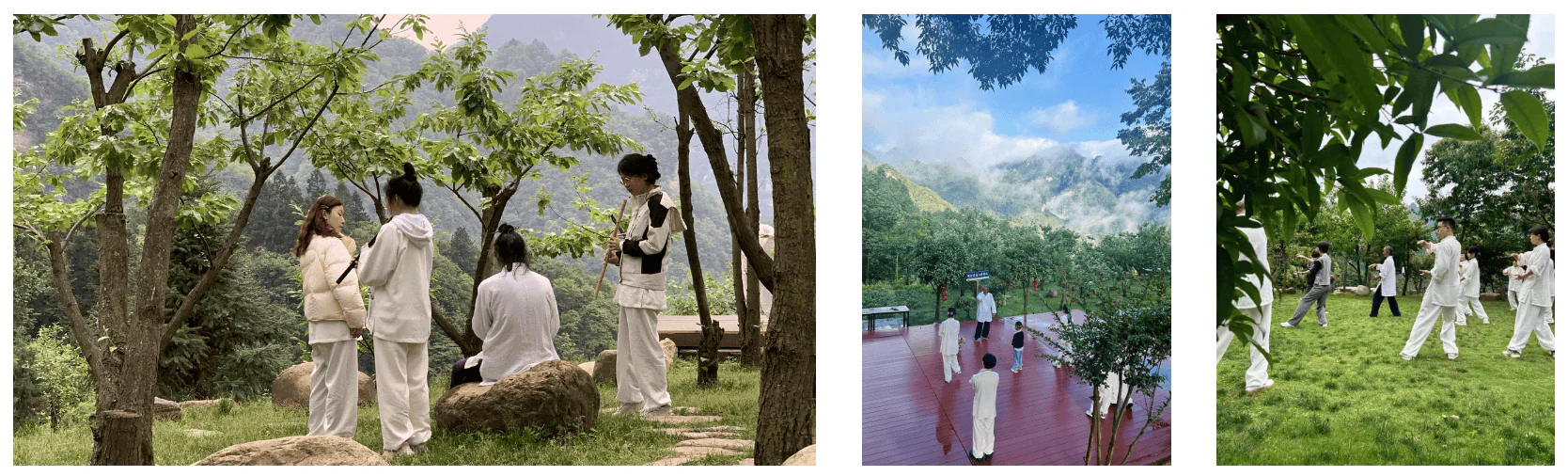 5-Day Wudang Mountain Tai Chi Retreat, hubei, china tour, Group of people in white clothing standing and sitting among trees on a hillside park, chatting and resting by large rocks.