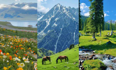 north xinjiang, western china, china tour, Collage of three landscapes: wildflower meadow by a lake, snow‑capped mountain, and forested meadow with a stream.
