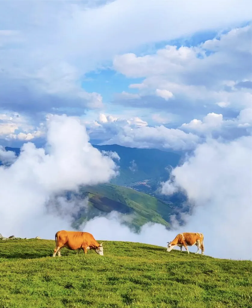 Mount Wutai hiking