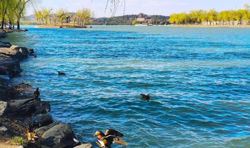 Summer Palace depth travel guide