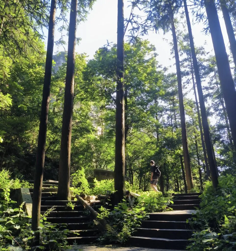 Zhangjiajie national park