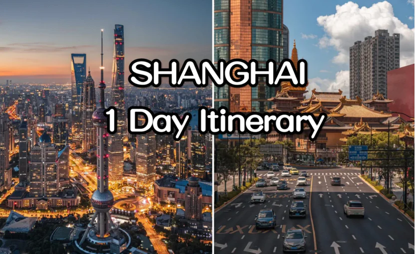 Shanghai City Tour: 8 Hours of Culture, Cuisine, and Skyline Views