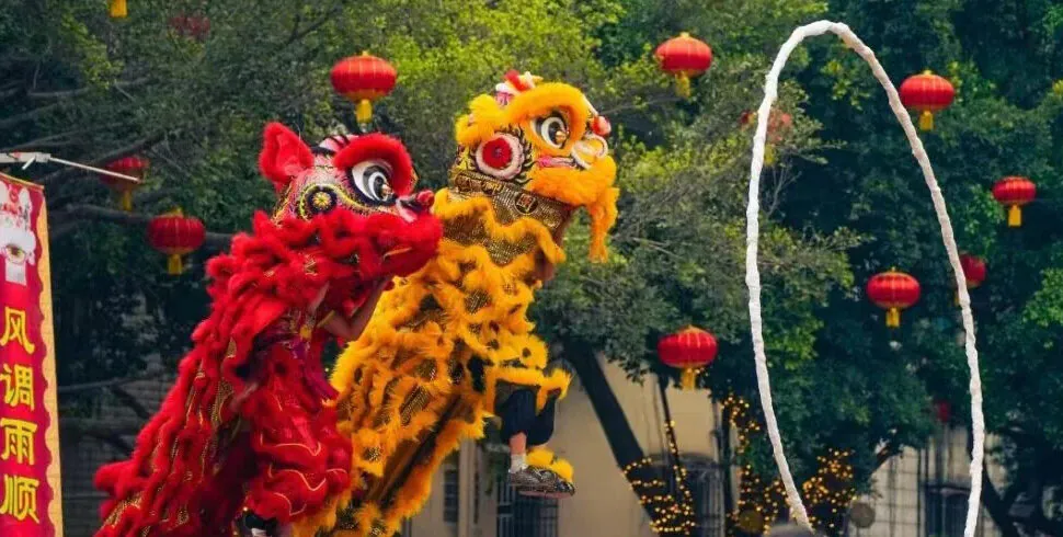 lion dance, zhanjiang, chinatravel, Red and yellow Chinese lion dancers leap through a hoop during a festival, with red lanterns and festive banners in the background
