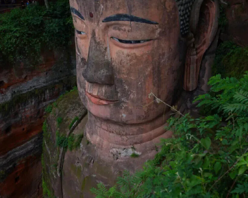 Leshan buddha, leshan, chinatravel, Colossal stone Buddha head carved into a cliff, with a weathered face and surrounding green foliage.