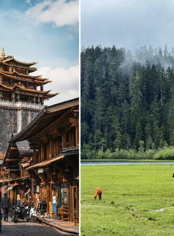Dukezong Ancient Town and Pudacuo National, Yunnan, chinatrip Park, Split image: left a traditional Chinese pagoda in a bustling street, right a green meadow with grazing cows and a misty forest in the background