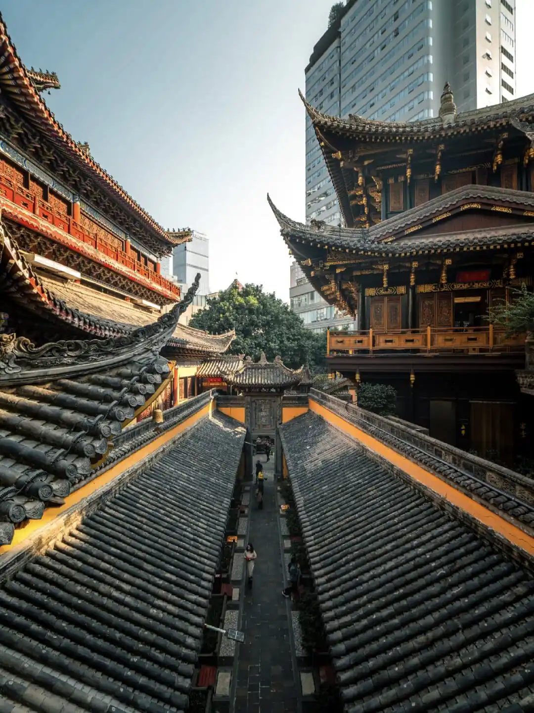 Luohan Temple, Arhat Temple, chongqing, chinatrip, Traditional Chinese temple rooftops with ornate wooden carvings and a narrow stone path in the courtyard, city skyscrapers in the background