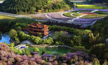 baili azalea belt, guizhou flower, china tour, A red pagoda-style building on a hill amid purple blossom trees and winding paths through a landscaped park with a blue pond in the foreground