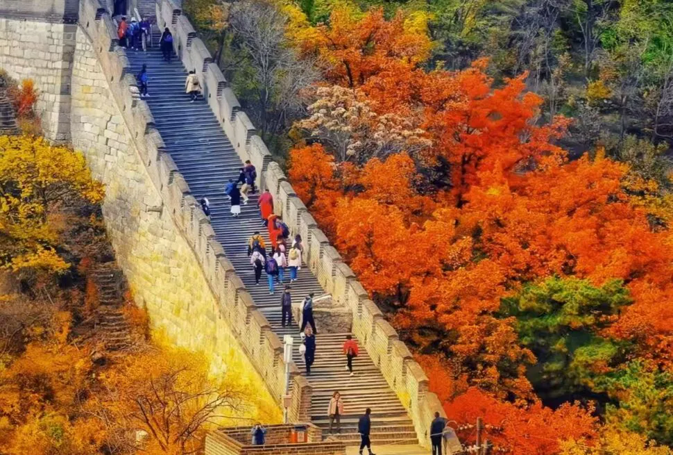 The Mutianyu Great Wall,Beijing,Chinatour Stone section of the Great Wall winding up a hillside, surrounded by vivid autumn trees in orange, red, and yellow.