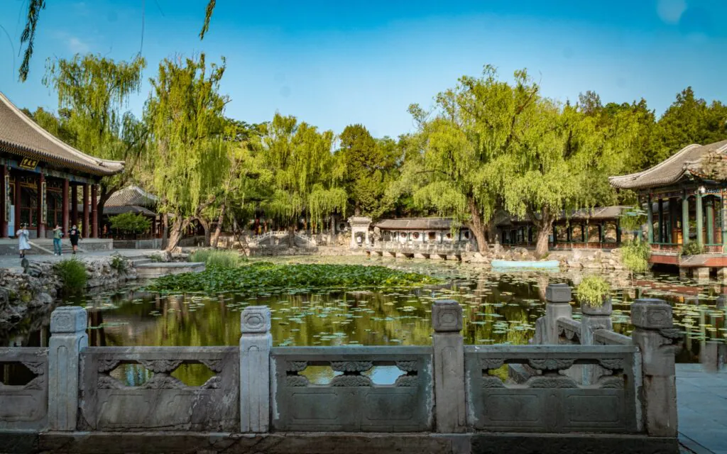 Lotus pond