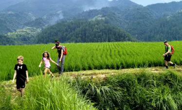 School trip in Guizhou, chinatrip, Family group walking through a lush green rice field with mountains in the distance; adults and children with backpacks.
