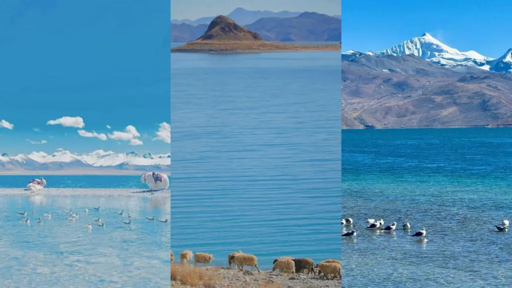Tibet Tour