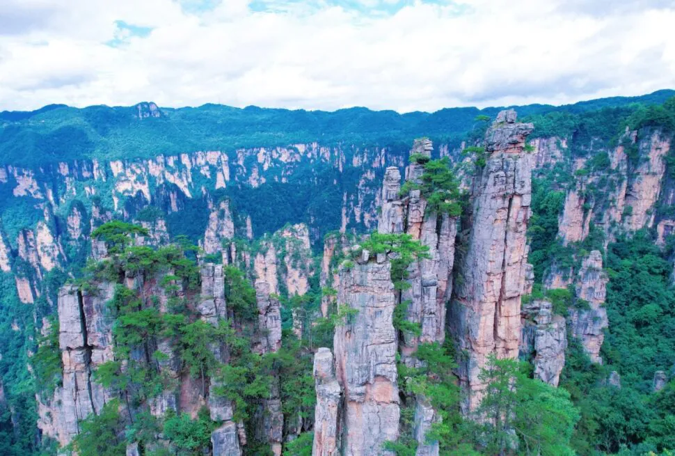 Tall limestone pillars rise from a dense forest in a canyon under a cloudy sky.